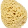 Cartel Paris Natural Sea Sponge 14 Cm 1 Cartel Paris Natural Sea Sponge 14 Cm -Care Products Store cartel paris natural p44115