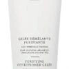 Christophe Robin Purifying Conditioner Gelée 200ml -Care Products Store christophe robin purifying p86832