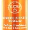 Elixirs & Co Energy Well-Being Mist Invigorating 100ml