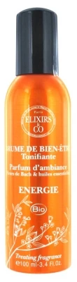 Elixirs & Co Energy Well-Being Mist Invigorating 100ml