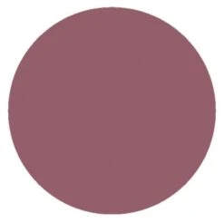 Embryolisse Secret De Maquilleurs Comfort Lip Balm Tinted 2,5g