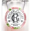 Roger & Gallet Fleur De Figuier Fragrant Wellbeing Water 100ml -Care Products Store roger gallet fleur p74219