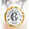Roger & Gallet Néroli Fragrant Wellbeing Water 100ml -Care Products Store roger gallet neroli p74220
